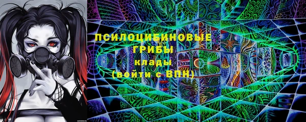 не бодяженный Инсар
