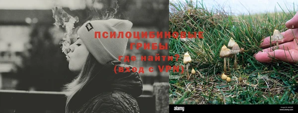 не бодяженный Инсар